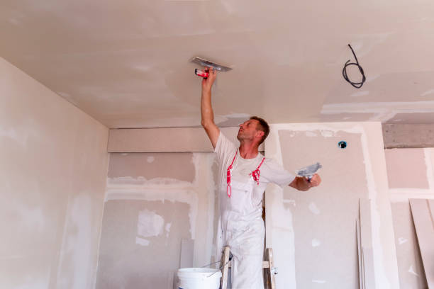 Best Acoustic Drywall Installation  in USA